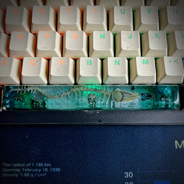 Leviathan Space Keycap image 0