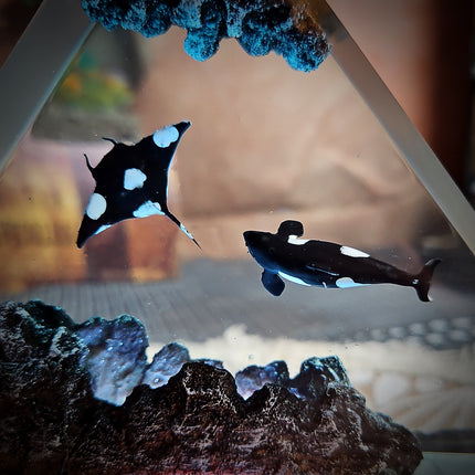 Ocean Whale Triangle Resin Lamp image 5