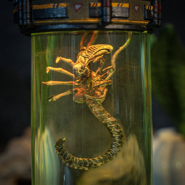BIOLAB - Xenomorph Resin Lamp