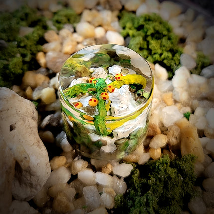 Shenlong Keycap - LEE'S AREA