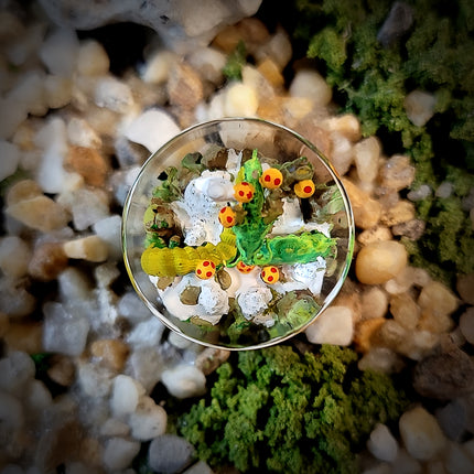 Shenlong Keycap - LEE'S AREA