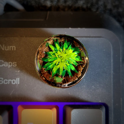Cannabis Keycap - LEE'S AREA