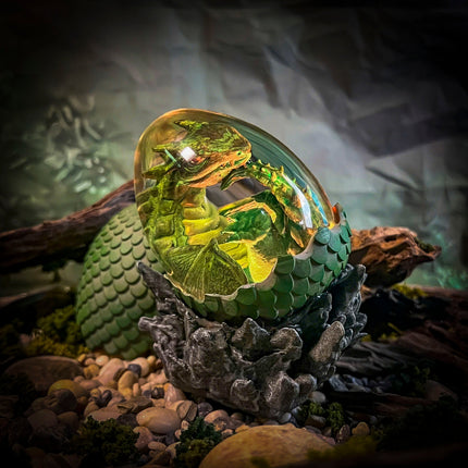 Forest Dragon V1 Hatchlight