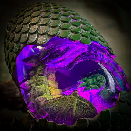 Forest Dragon V1 Hatchlight