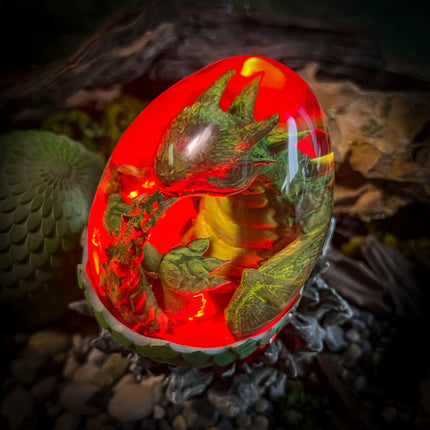 Forest Dragon V1 Hatchlight